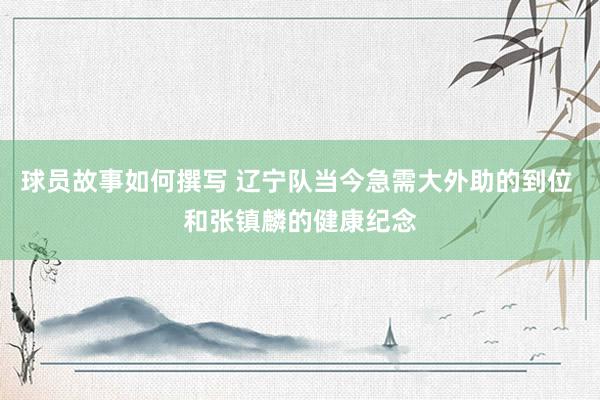 球员故事如何撰写 辽宁队当今急需大外助的到位 和张镇麟的健康纪念