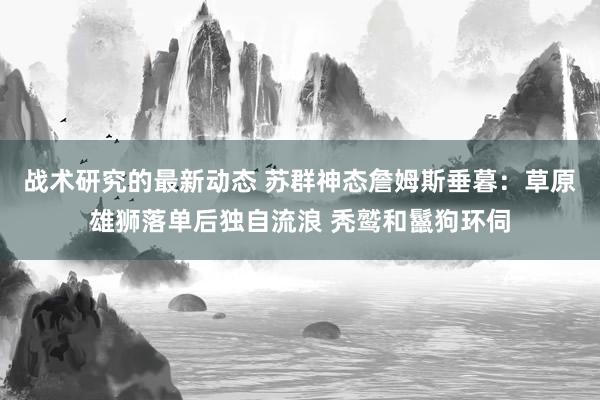 战术研究的最新动态 苏群神态詹姆斯垂暮：草原雄狮落单后独自流浪 秃鹫和鬣狗环伺